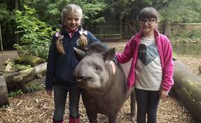 Behind The Scenes Fun Dudley Zoo And Castle