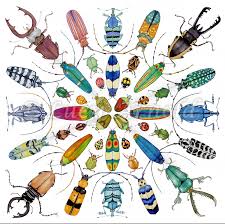Beautiful Beetles Painting By Lucy Arnold