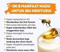 Ada beragam manfaat madu bagi kesehatan. Madu Original Trigona Klanceng Propolis Kelo Shopee Indonesia