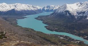 Whether you're here for an afternoon or a week, there is plenty to do in cooper landing. 15 Best Things To Do In Cooper Landing Alaska