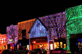 Blue Turtle Crossing Michigan Christmas Rochester Michigan Rochester Hills Michigan