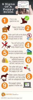 Browse through hundreds of puppies or list yours today! How To Avoid An Online Puppy Scam Caninejournal Com