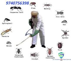 Bestpestcontrolservicesinwhitefield Pestcontrollerservicesinindiranagar Bestpestcontrolservicesinhebbal Con Best Pest Control Pest Control Termite Control