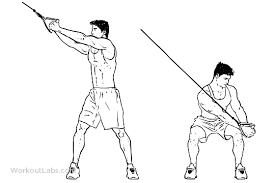 Downward Cable Wood Chops Wood Chop Workout Guide Wood Chop Exercise