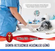 Erdal i̇lgü, haklarının, dünyadaki meslektaşlarının seviyesine erişmesi gerektiğini belirterek, tüm veteriner hekimlerin dünya veteriner hekimler günü'nü kutladı. Turk Veteriner Hekimleri Birligi On Twitter Dunya Veteriner Hekimler Gunu Ne World Veterinary Day 3 Gun Kaldi Meslegimizin Bu Ozel Gunu Kapsaminda Tema Ile Diger Guncel Konular Ve Mesleki Sorunlar Hakkinda Farkindalik Olusturmak