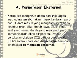 Mekanisme Pertukaran Oksigen Dan Karbon Dioksida Ppt Download