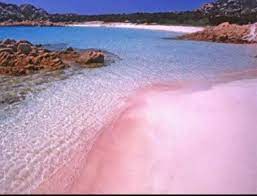 Le banc de sable se trouve entre la mer et un plage de sable rose de budelli. Plage De Sable Rose De L Ile Budelli La Maddalena Location Maison Sur La Mer Les Pieds Dans L Eau