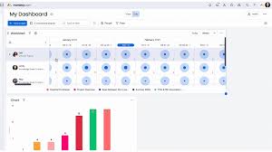 The Timeline Widget – Support
