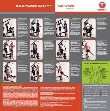 Marcy Home Gym Workout Chart Home Gym Exercises Gym