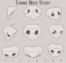 We did not find results for: Canine Wolf Dog Nose Study 2017 By Tiffashy Canine Drawing Nose Drawing Dog Face Drawing