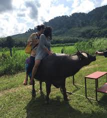Jika seumur hidup tidak pernah bercuti di langkawi, kata orang, tidak lengkap diri anda dipanggil warganegara malaysia walau pun ada mykad dalam dompet. 59 Tempat Menarik Di Langkawi 2021 Lihat Keindahan Permata Kedah