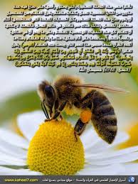 04f168e0c86ef3a2d4734b6ac7494165 Jpg 600 800 Islam And Science Quran Tafseer Islamic Inspirational Quotes