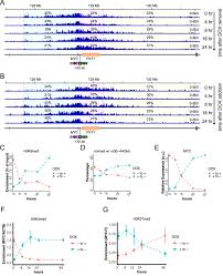 Controlling gene activation by enhancers through a drug-inducible  topological insulator