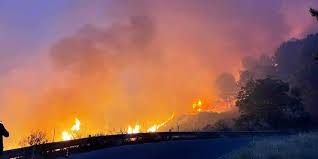 Numerosi incendi boschivi hanno interessato da questa mattina la calabria richiedendo l'intervento dei vigili del fuoco. Lnmtmk0gu1xcnm