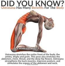 It works towards opening up the front of your body while also opening your pectoral muscles and hip flexors. Camel Pose Is A Big Back Bend Back Sarah Spear Yoga Facebook
