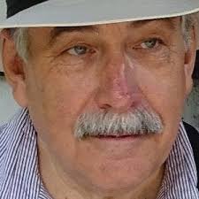 Wiltshire local election: The 4 candidates in Amesbury South