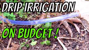 Drip irrigation systems distribute water through a network of valves, pipes, tubing, and emitters. Drip Irrigation System How To Youtube