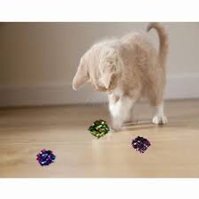 Amazon Com Neilden Cat Toy Cat Crinkle Ball Kitten Wrinkled Toy Chasing Target Entertainment Play Catching Game Fun Inte Cat Toys Interactive Dog Toys Kitten