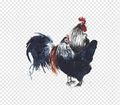 Rooster Chicken Bird Watercolor painting Illustration, Big black cock, black  Hair, animals, black White png | PNGWing