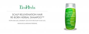 Plus, eating foods rich in vitamins and foods with biotin and vitamin b and taking foods with protein. ØªØ³ÙˆÙ‚ Herbal Shampoo Help Hair Growth Dandruff Oily For Hair Care Hair Loss Ø³ÙˆÙ‚ Ø±Ù…Ø§Ù†