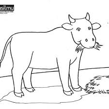 Gambar di bawah adalah hasil gubahan dari jecinci iaitu gambar yang asalnya berwarna hitam putih menjadi gambar yang berwarna atau gambar yang sebenar. Gambar Mewarnai Tema Qurban