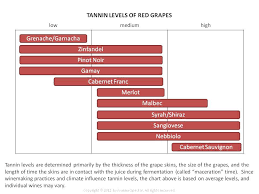 Tannin Level Of Red Grapes Wine Tasting Party Red Grapes