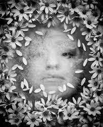 SoloShow — Sarah Treanor Fine Art