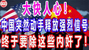 大快人心 中国突然动手释放强烈信号 终于要除这些内奸了 neon signs calm calm artwork