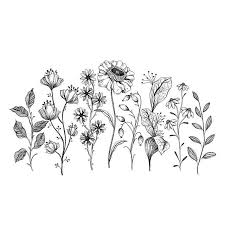 We did not find results for: Alice Az Instagramon Flowery Line Drawing Flowers Is A Way For Me To Relax Slide To See Where I Started Flower Drawing Drawings Floral Drawing