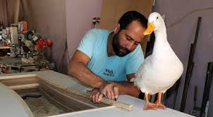 Mobilya Ustasi Ile Boncuk Birbirlerinden Ayrilamiyor