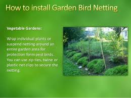 My frame gives room for bushes that mature up to four or five feet, but could be. Garden Bird Netting