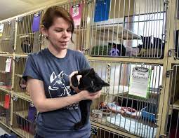 At mcas we are dedicated to engaging the hearts, hands, and minds of the community to help animals in montgomery county. In Depth Animal Shelters Do What They Do Because Of You Regional News Wiscnews Com