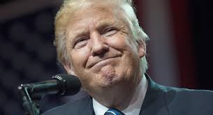 Trump picks new policy staffers