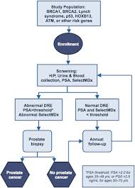 There are different types of radiation therapy: Review Articles Journal Of Urology