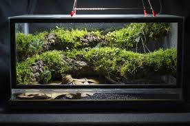 10 Gallon Front Opening Conversion Epiphyte Branch Vivarium Vivarium Fish Tank Planted Aquarium