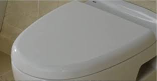 Have to manually close the lid to about 45. Rak Ella Venice Mistral Replacement Quick Release Soft Close Toilet Seat Top Fix Amazon De Diy Tools