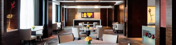 Radisson executive lounge for corporate networking, AI generated