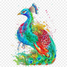 Seni atau teknik dalam membuat kerajinan tangan dari daun kering sering disebut kolase atau mozaik. 35 Gambar Burung Merak Untuk Kolase Terbaik Top Gambar Kolase