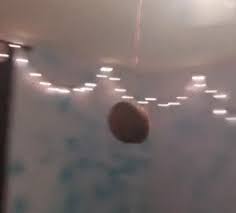 Press to play the sound: A Potato Flew Around My Room Before You Came Blank Template Imgflip