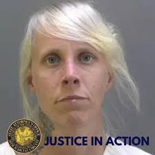 Darius Jamarcus Redd was adjudicated guilty and sentenced, to a total of 17  years in prison, followed by 2 years of community control, followed by 10  years of probation, for drug trafficking