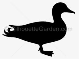 This vinyl is super durable and Vivid Arts Resin Flying Duck Medium Mallard Hd Png Download Transparent Png Image Pngitem