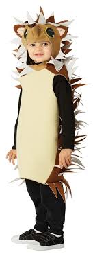 Our new baby porcupine at the san angelo nature center: Rasta Imposta Hedgehog Porcupine Woodland Animal Costume Child Size 3 4