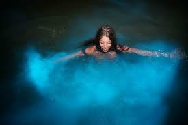 Bioluminescencia Onde Encontrar Praias Paradisiacas Que Brilham No Escuro
