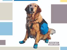 You'll start by calling our toll free number, 1.844.334.3374. Fur Feathers Scales And Tails