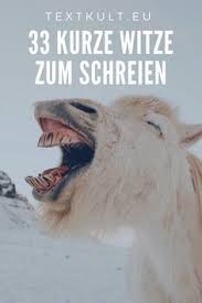 33 Witze Zum Schreien Sprüche Zitate Zitate Lustig Lustig