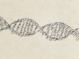Genetic Superheroes Walk Among Us But Shhh No One Can Tell Em Genetics Autism Behaviors Different Types Of Autism