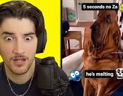 Shock Reaction Meme Projects :: Photos, videos, logos, illustrations and  branding :: Behance