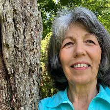 ALLEGANY COUNTY NY PHOTOGRAPHS