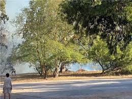 Τρίτη 24 οκτωβρίου 2017 πλειοδοτική δημοπρασία για την εκμίσθωση του δημοτικού κτιρίου αλασκα ο δήμαρχος κηφισιάς διακηρύσσει την διενέργεια φανερής πλειοδοτικής δημοπρασίας για την εκμίσθωση του δημοτικού. Ypo Elegxo H Fwtia Sthn Khfisia