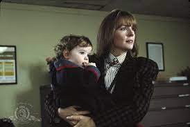Watch Baby Boom On Netflix Today Netflixmovies Com